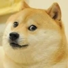 impulsedog