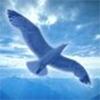 mistral