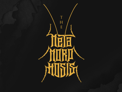 the metamorphosis