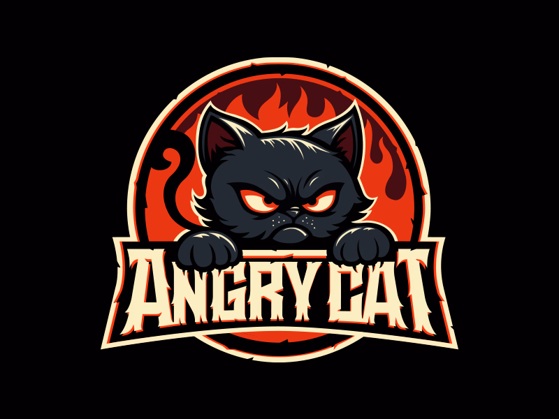 Angry cat