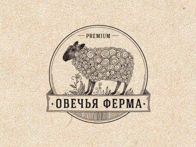 Овца