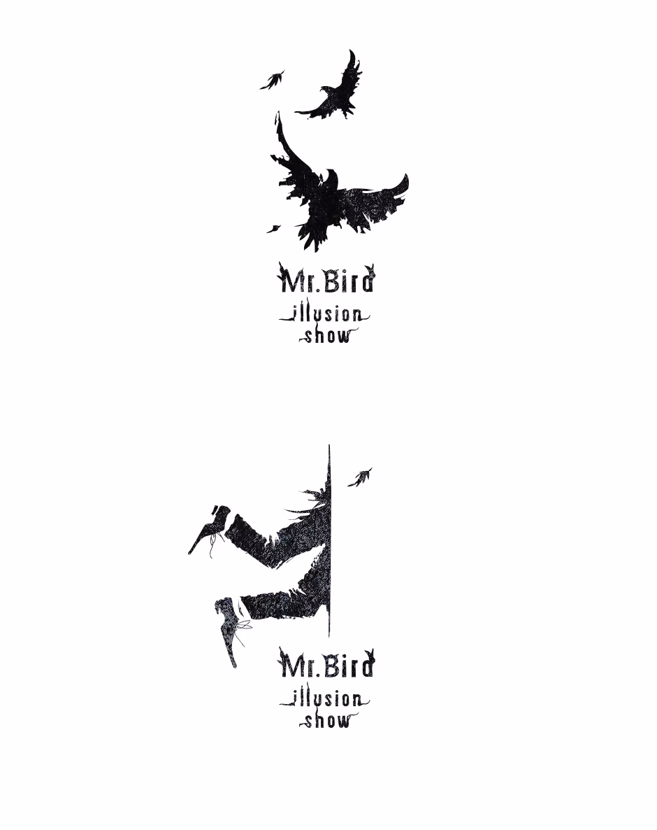 Mr Bird presentation
