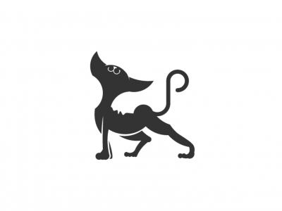 sphynx cat