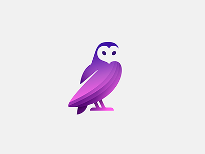 Barn Owl