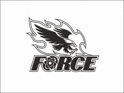 Force