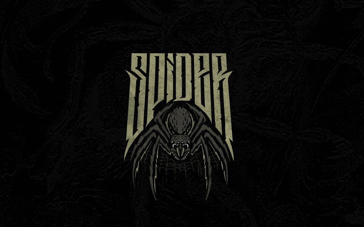 SPIDER presentation