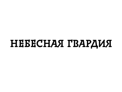 Небесная гвардия