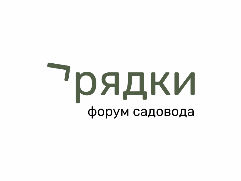 Грядки shot