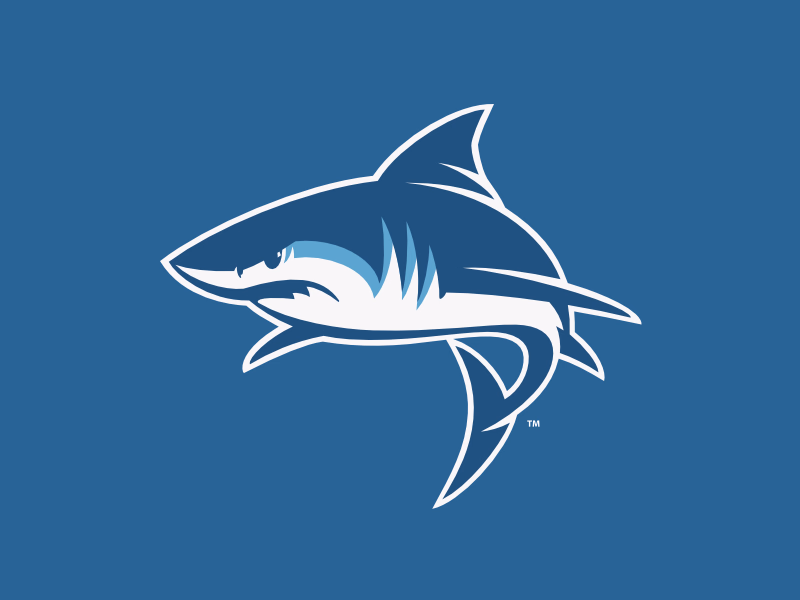 Shark Happen