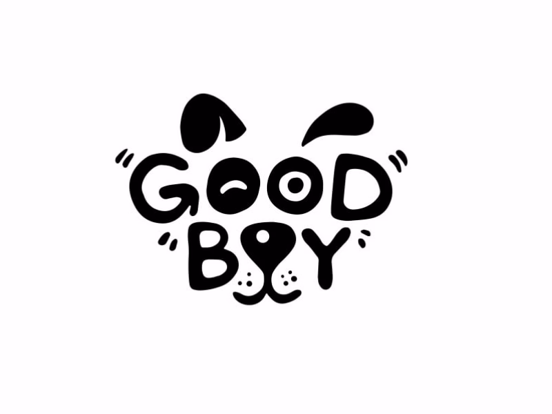 good boy grooming