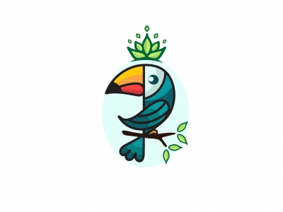 toucan