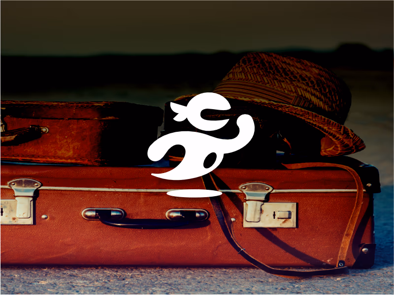 Travel ninjaz presentation