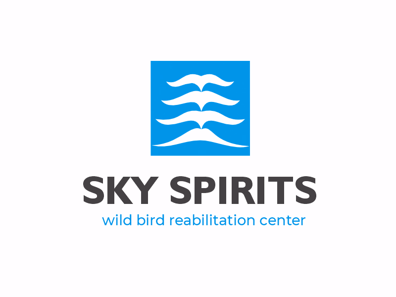 SKY SPIRIT shot