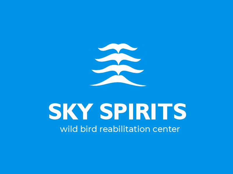 SKY SPIRIT