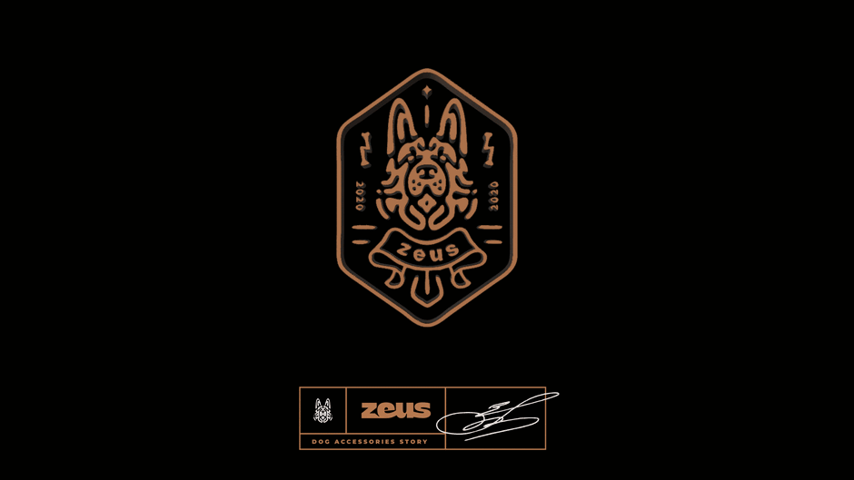 Zeus presentation