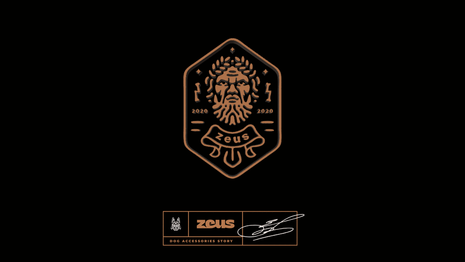 Zeus presentation