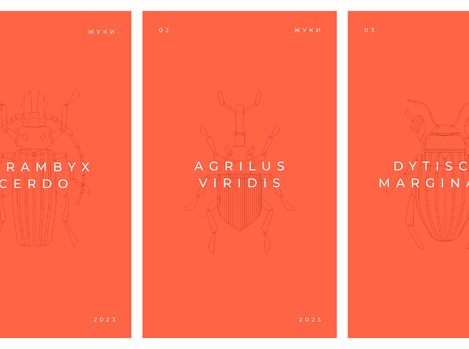 SCARABAEUS SACER presentation