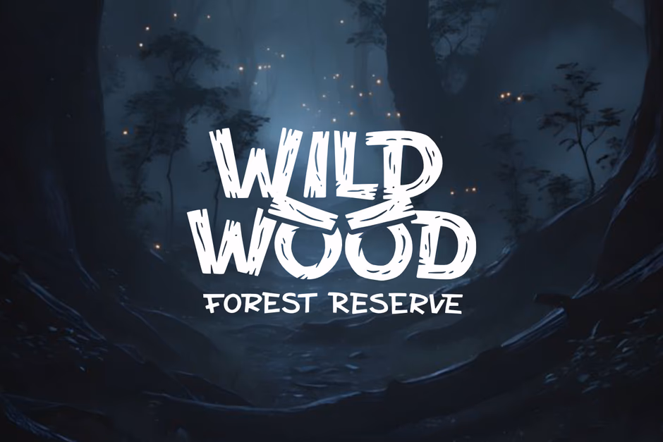 WILD WOOD presentation