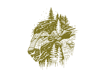 bison forest