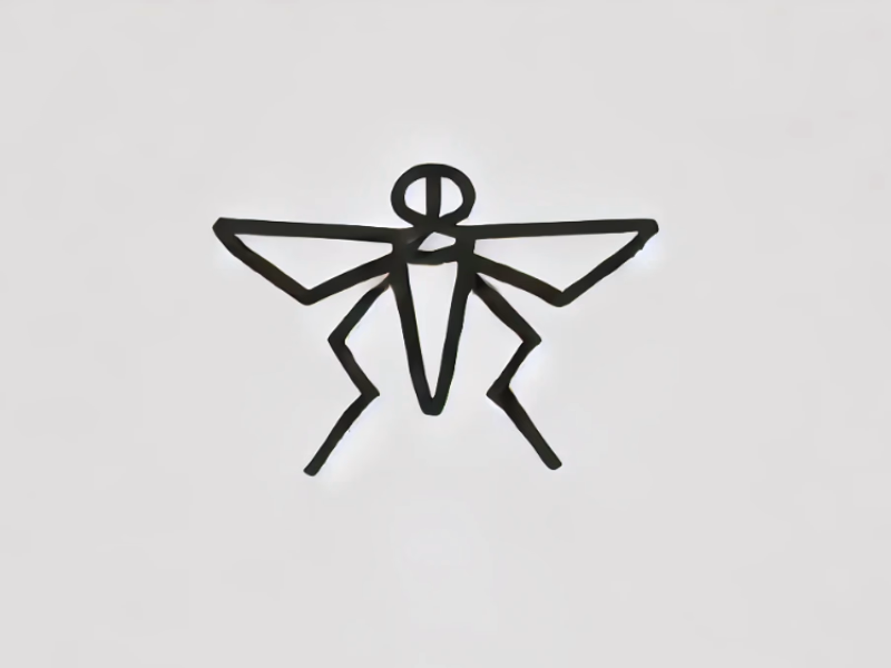 Fly shot