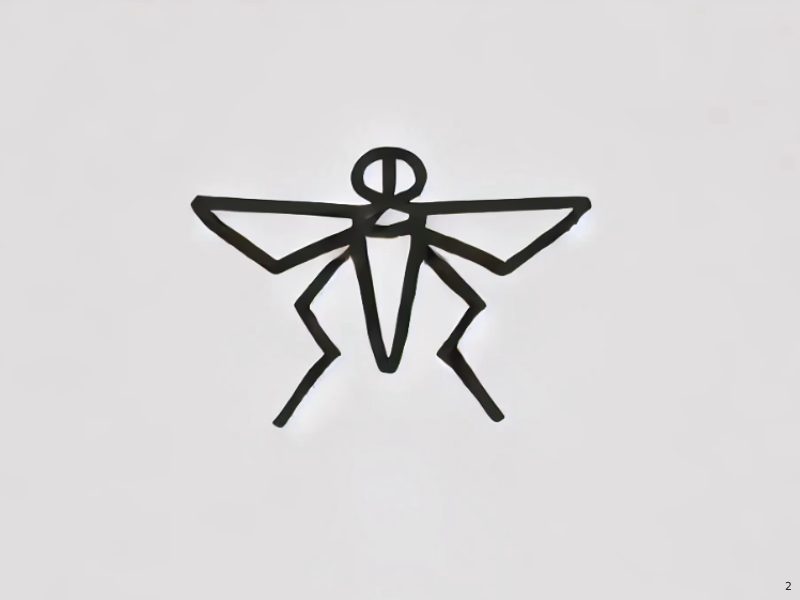 Fly