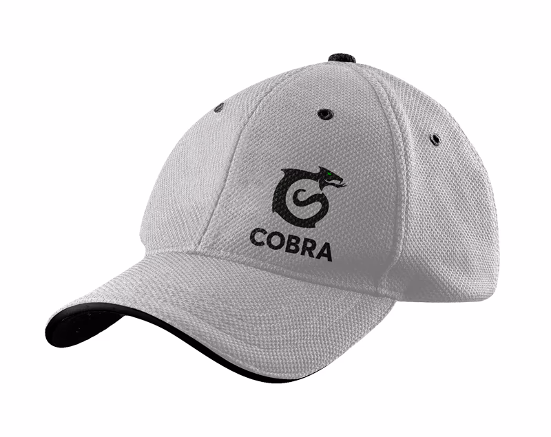 Cobra presentation