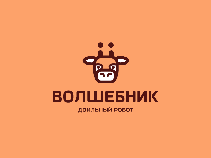 Волшебник