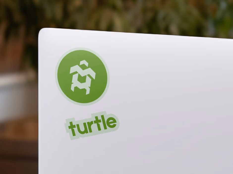 Turtle presentation