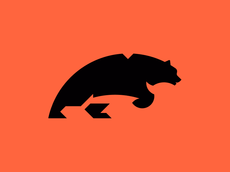 bear shot