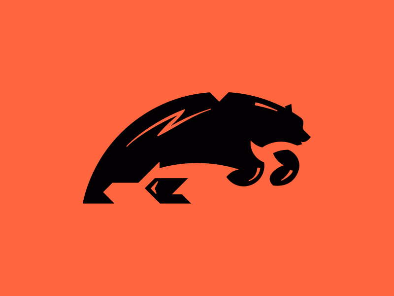 bear