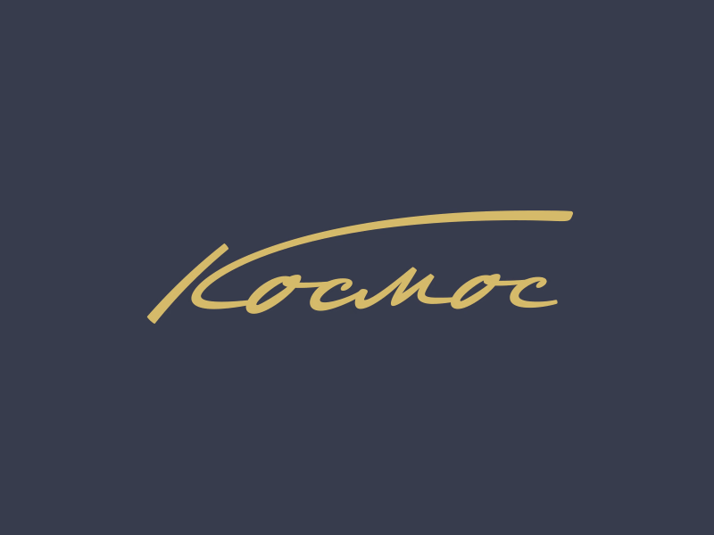 Космос 2 shot