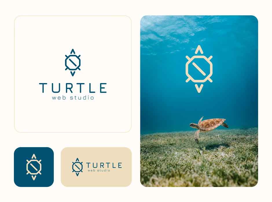 Turtle code presentation