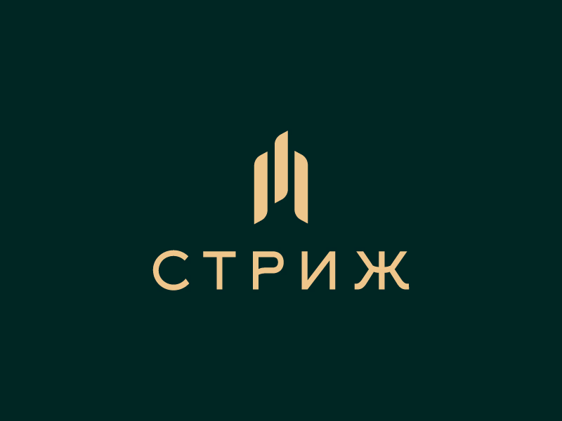 Стриж