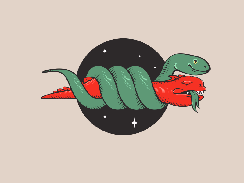 Год Змеи