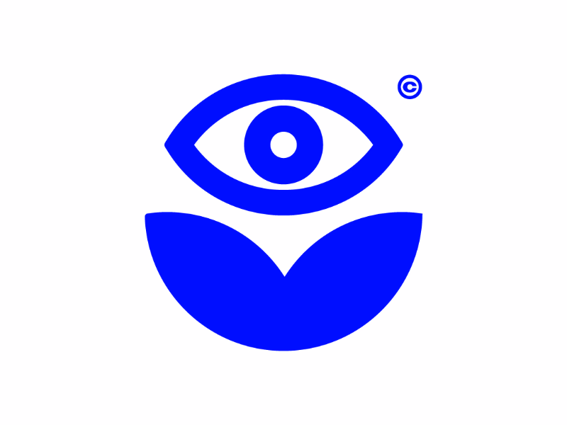 Vision
