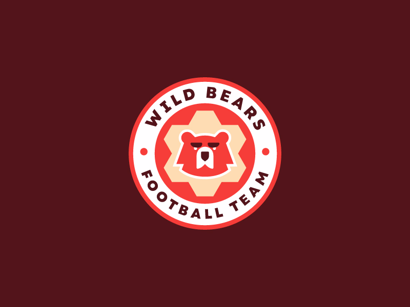 WILD BEARS