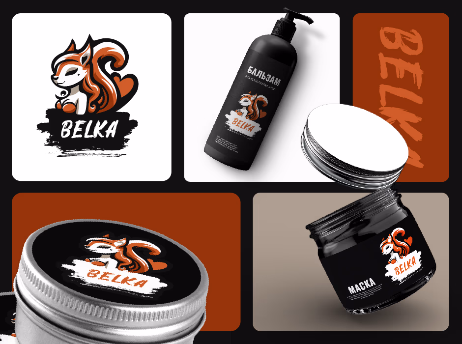 BELKA presentation