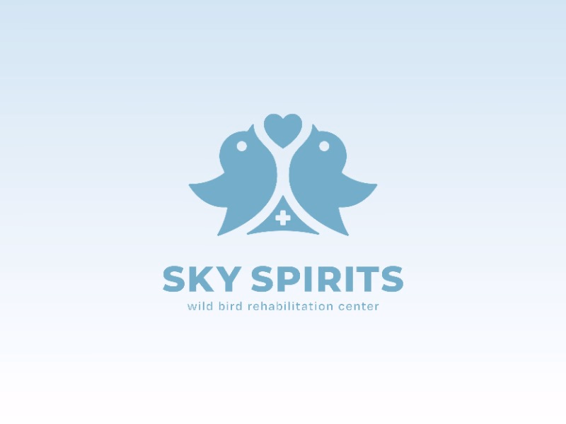 SKY SPIRITS