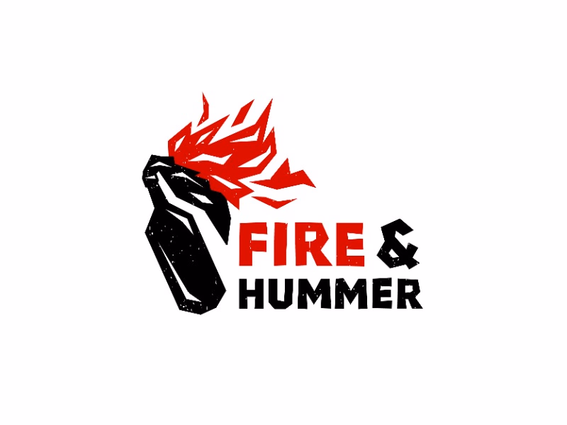 FIRE AND HUMMER shot