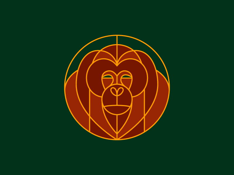 Orang Hutan