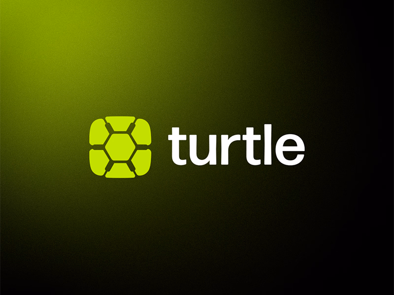 turtle shot
