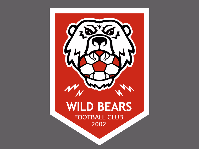 WILD BEARS