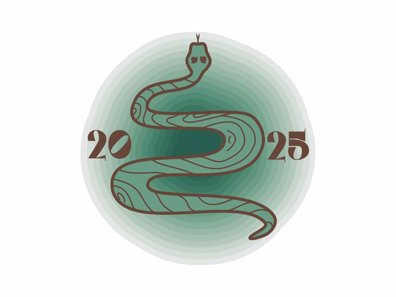 2025