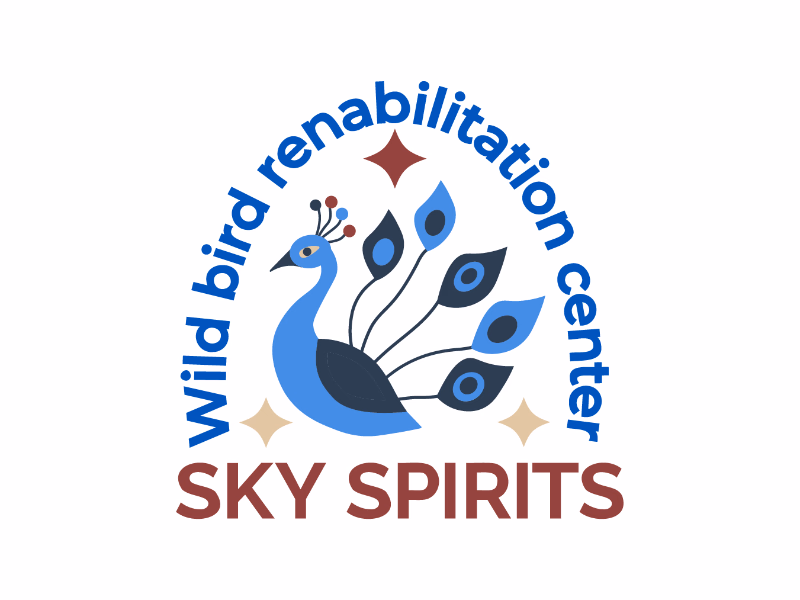 Sky spirits