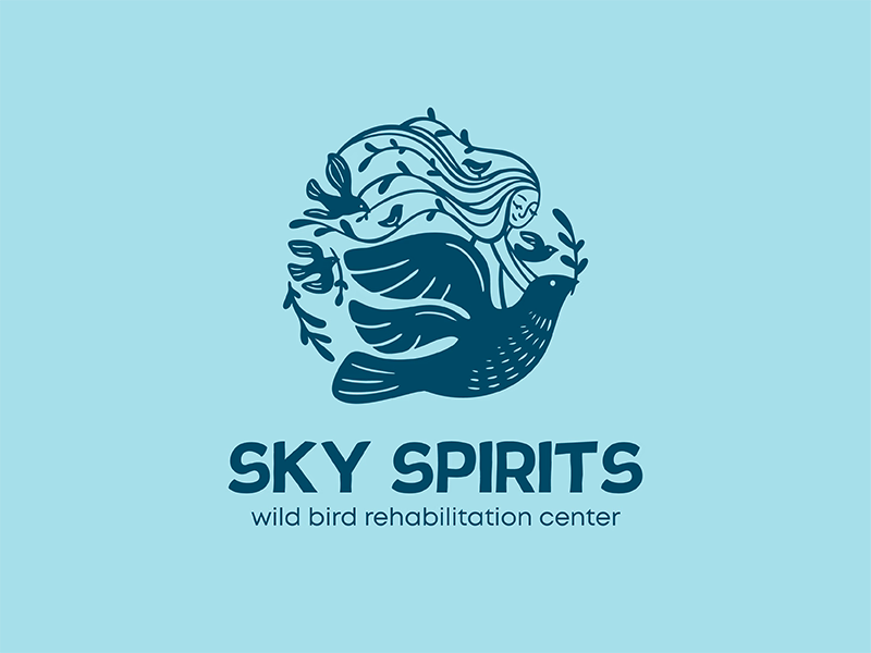 SKY SPIRIT