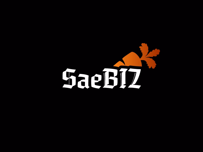Saebiz