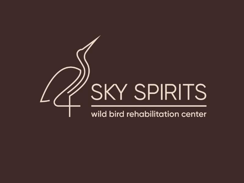 Sky Spirits