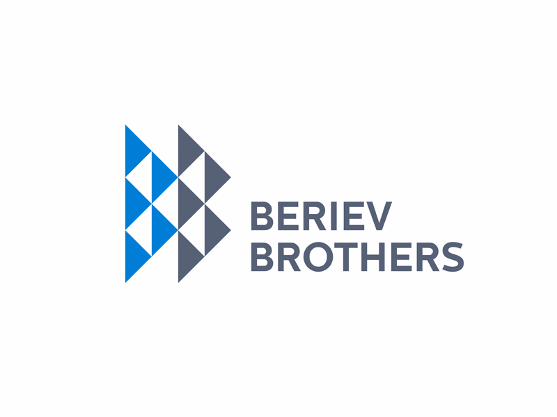 BERIEV BROTHERS