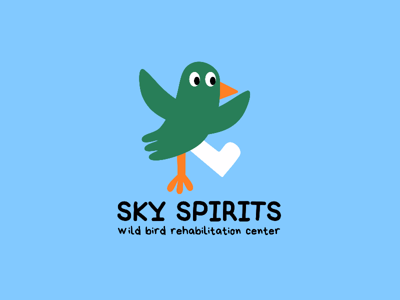 Sky Spirits