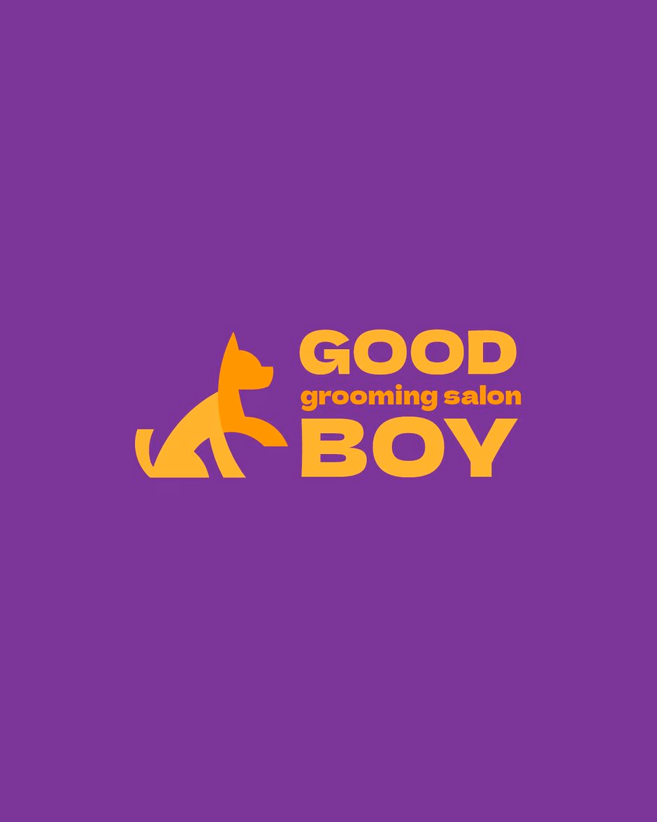 Good Boy presentation